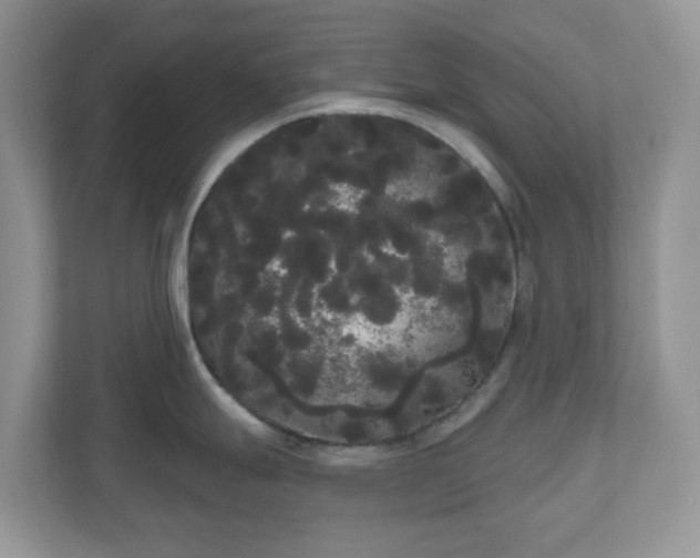 X0000111051247200907021613