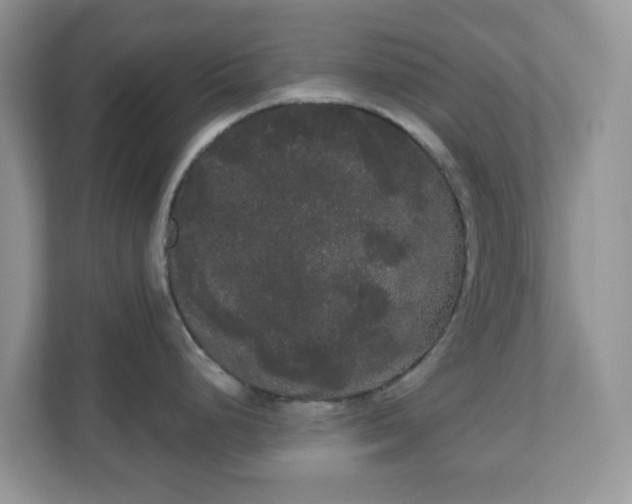 X0000111051248200907021613