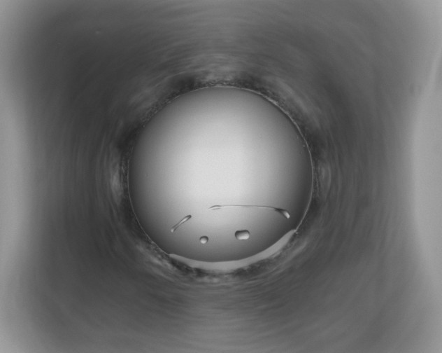 X0000111051250200907021612