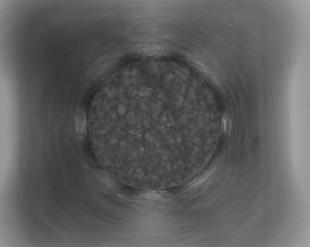 X0000111051251200907021612