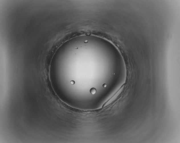 X0000111051253200907021612