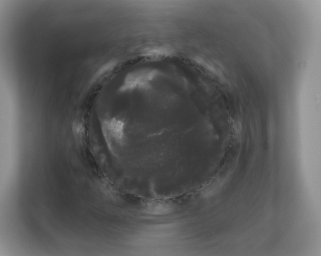 X0000111051254200907021612