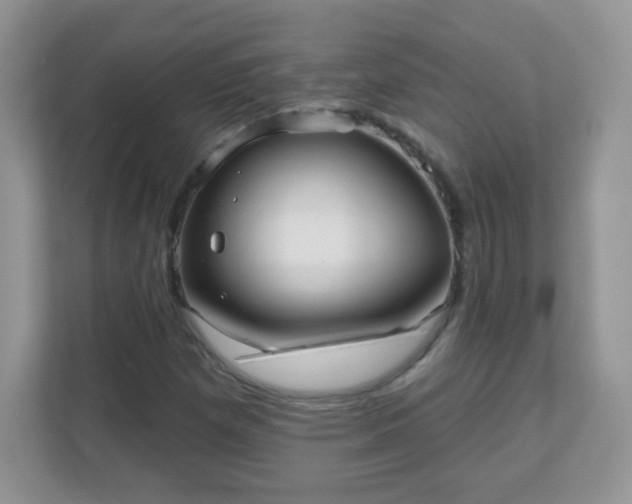 X0000111051257200907021612