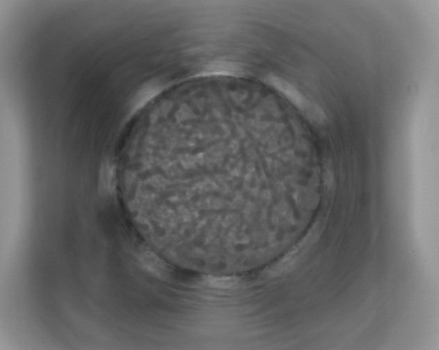 X0000111051258200907021612