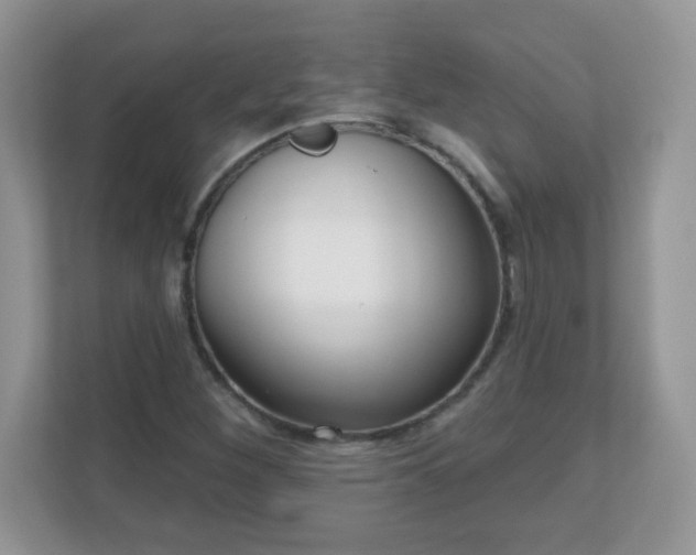 X0000111051260200907021612