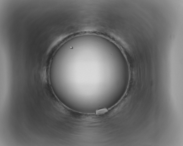 X0000111051262200907021612