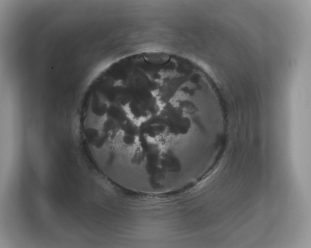 X0000111051263200907021612