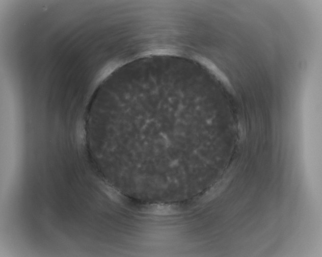 X0000111051266200907021612