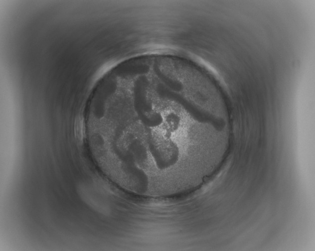 X0000111051267200907021612