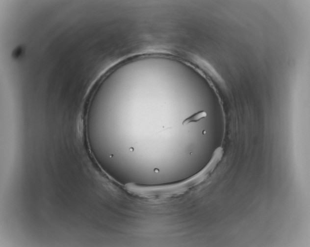 X0000111051268200907021612