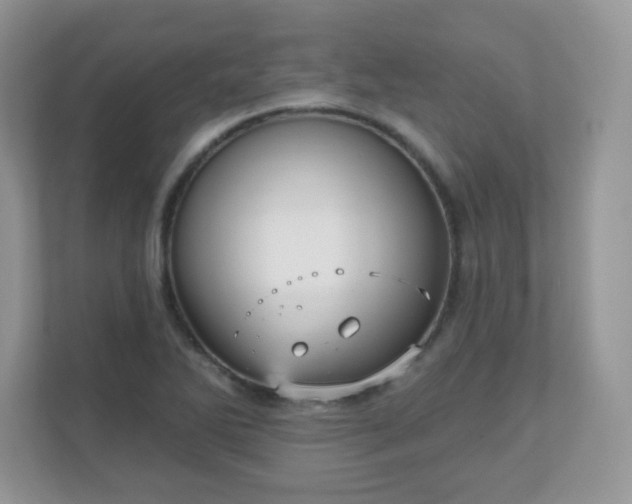 X0000111051270200907021612