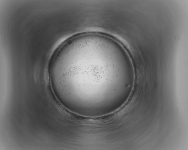 X0000111051271200907021612