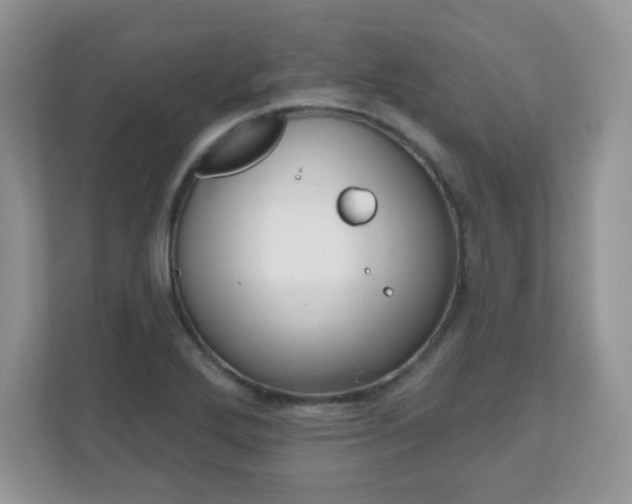 X0000111051272200907021612