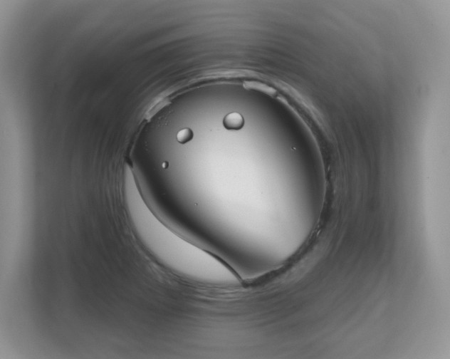 X0000111051273200907021612