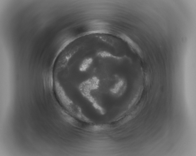 X0000111051274200907021612