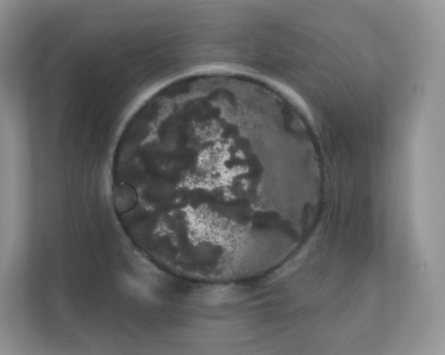 X0000111051279200907021612