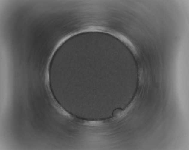 X0000111051280200907021612