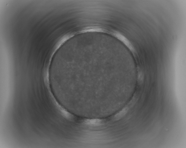 X0000111051282200907021612