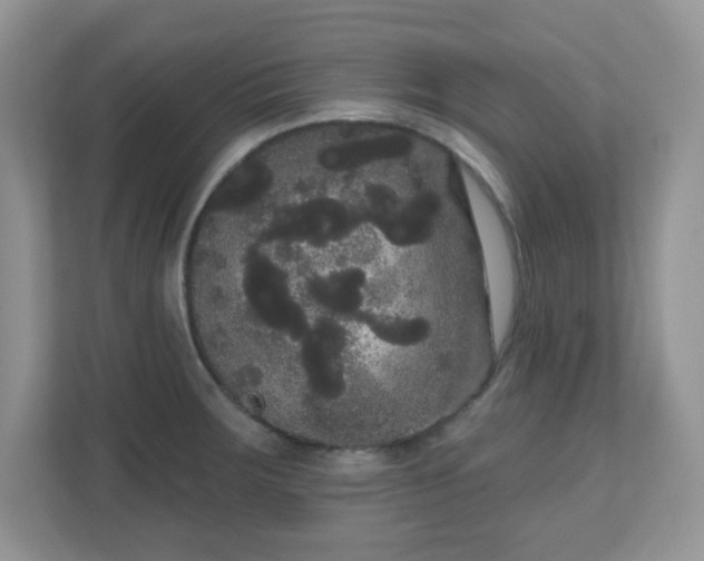 X0000111051283200907021612