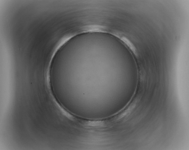 X0000111051285200907021612