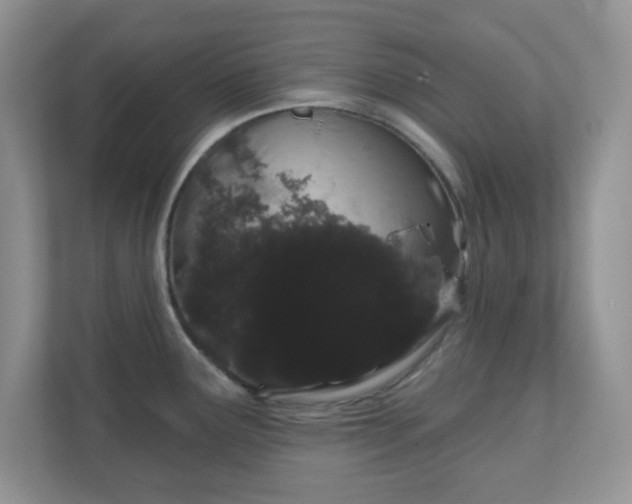 X0000111051291200907021612