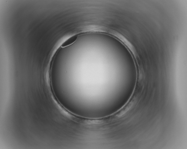 X0000111051293200907021612