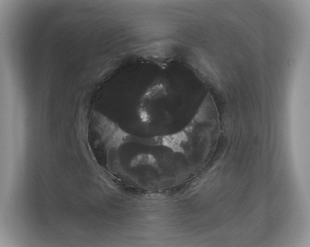 X0000111051297200907021611