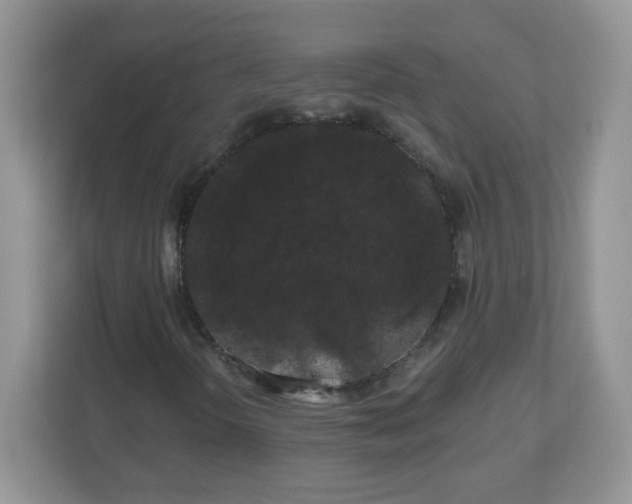 X0000111051298200907021611