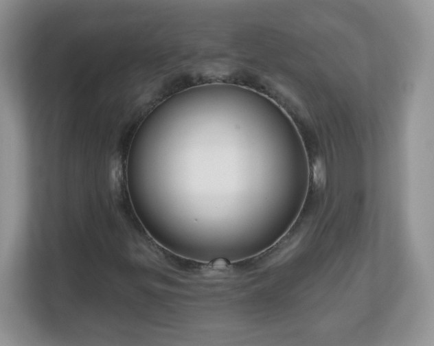 X0000111051299200907021611