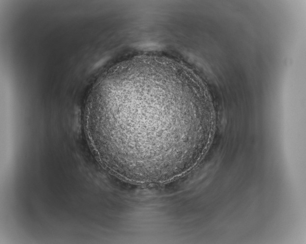 X0000111051301200907021611