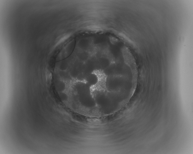 X0000111051302200907021611