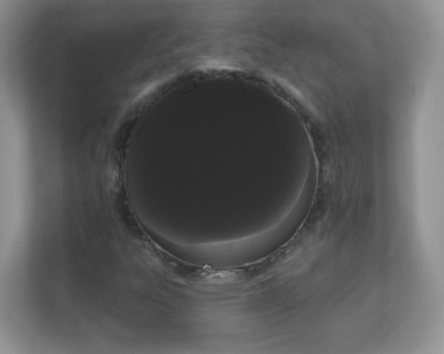 X0000111051303200907021611