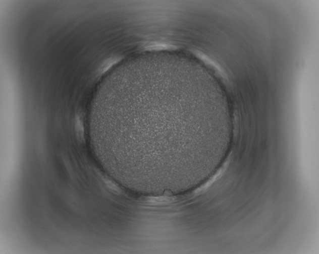 X0000111051305200907021611