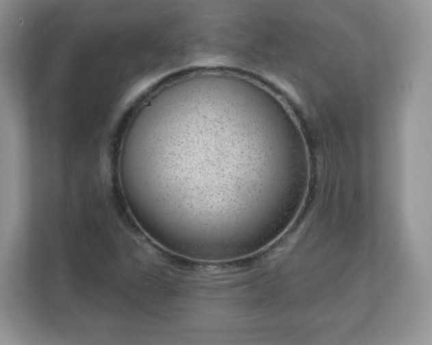 X0000111051311200907021611