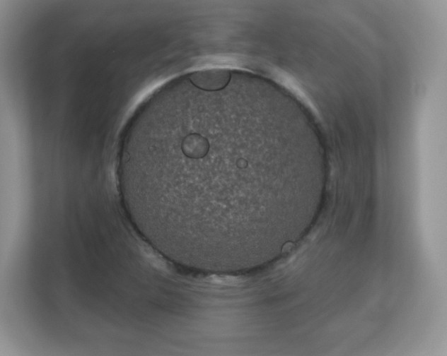 X0000111051312200907021611