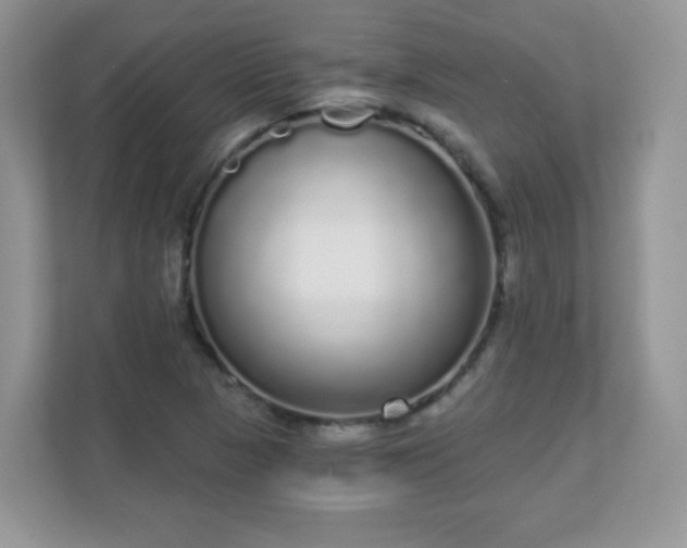 X0000111051313200907021611