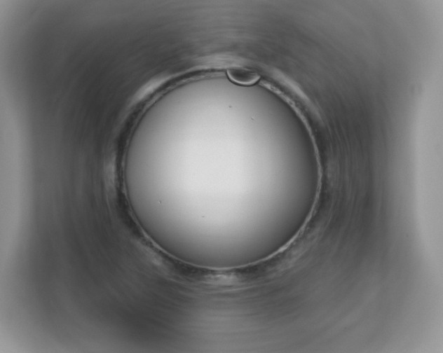 X0000111051315200907021611