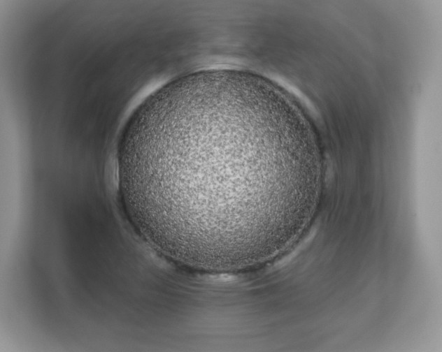 X0000111051317200907021611