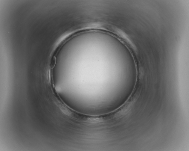 X0000111051320200907021611