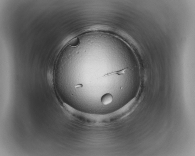 X0000111051321200907021611