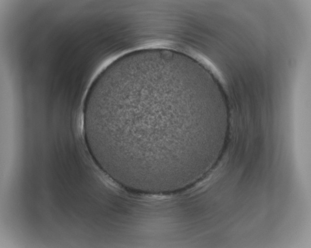 X0000111051324200907021611