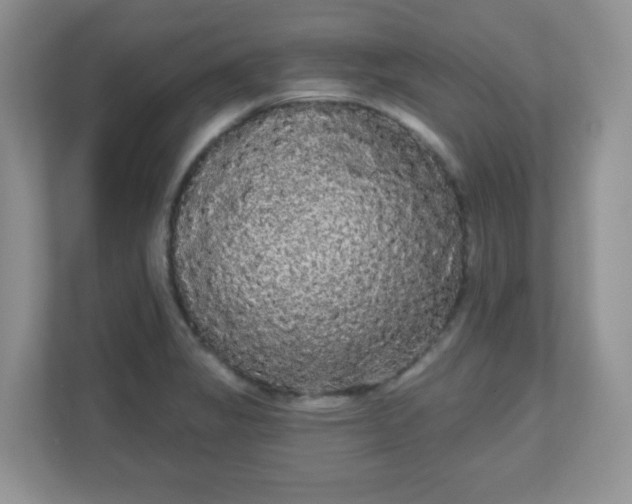 X0000111051325200907021611