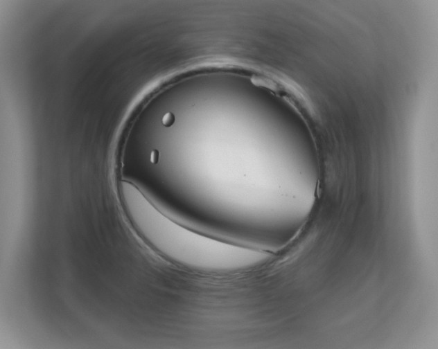 X0000111051326200907021611