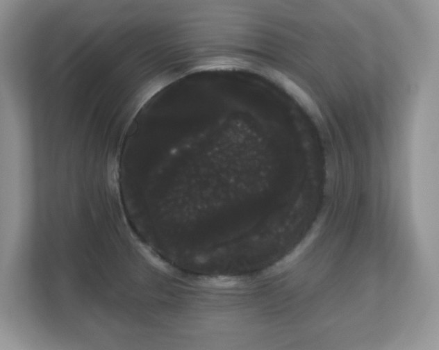 X0000111051329200907021611