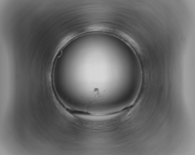 X0000111051330200907021611