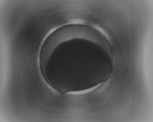 X0000111051331200907021611