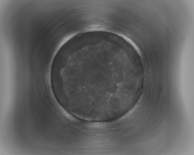 X0000111051333200907021611