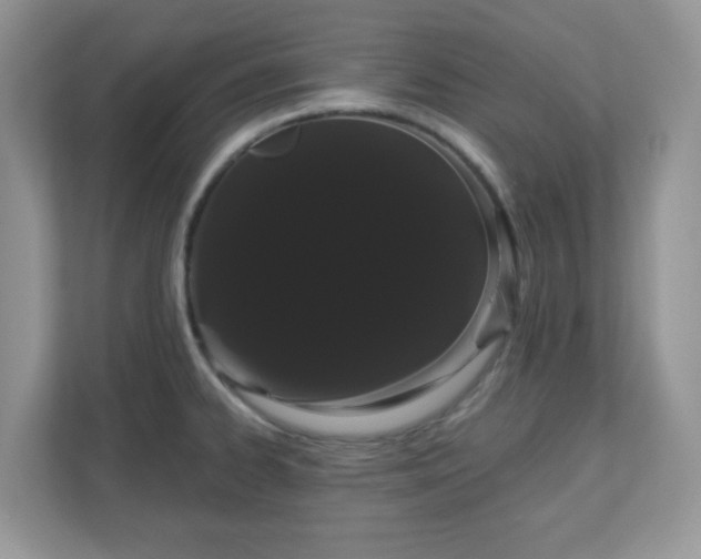 X0000111051334200907021612