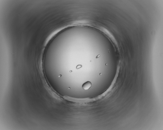 X0000111051336200907021612