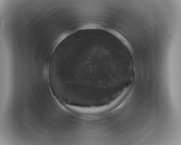 X0000111051337200907021612